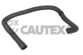 CAUTEX 036429 - MANGUITO INFERIOR RADIADOR,SIN A/A