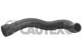 CAUTEX 186742 - MANGUITO DERECHO ENTRADA INTERCOOLER