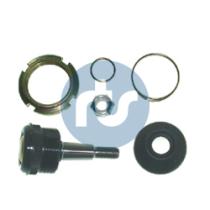 RTS 9300162 - ROTULA CON KIT DE REPARACION FIAT.